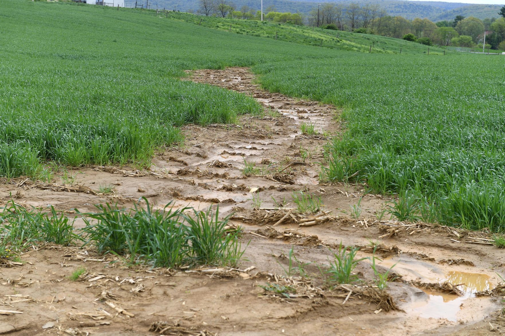 Warehouse Water Runoff